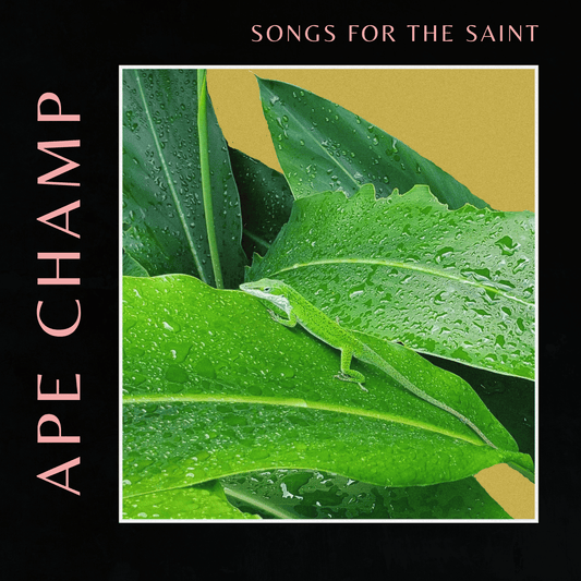 Songs for the Saint (Album)