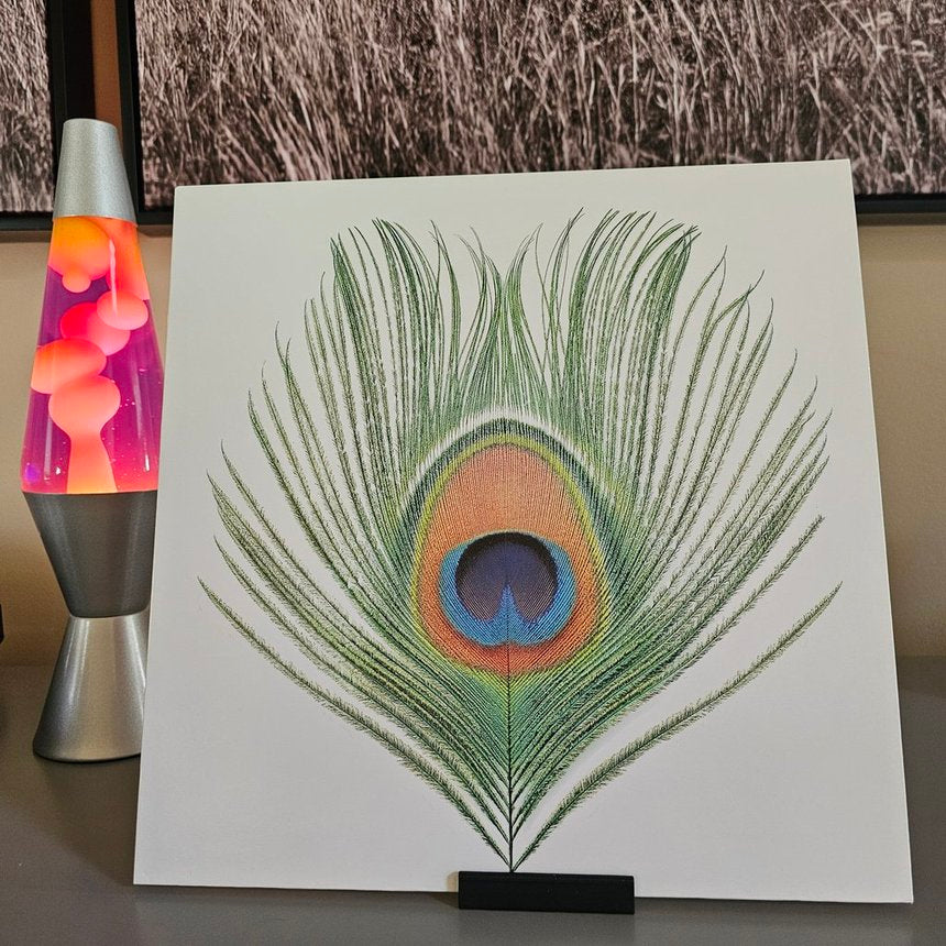 XTC. Apple Venus Volume 1